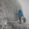宮之浦岳山頂直下の様子　「エビの尻尾」が発達。まさかの雪に驚きと感動の一日でしたが、装備不足な登山者が多く、凍りついた稜線を不安定に歩いている登山者が目立ちました。