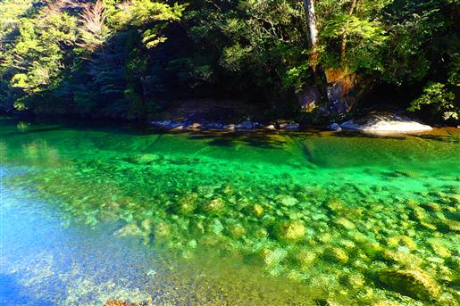 安房川　晴天に恵まれたこの日、冷たい山の空気で冷やされ、エメラルドグリーンに透き通った川の水に、春の陽光が輝いています。