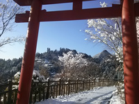 雪化粧した御岳山　鳥居の赤、白い雪、青い空！
