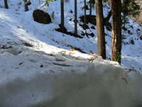 登山道の入り口　多くの雪が残っており、気温上昇による雪崩の危険性が高まっています。登山はお控え下さい。