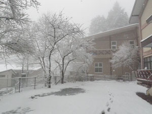 ビジターセンター前も約10cmの雪が積もりました。