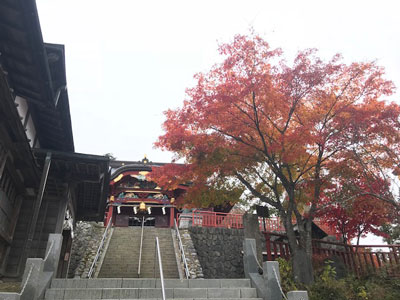 蔵御岳神社の紅葉　燃えるような神社の赤と紅葉の赤が楽しめます。