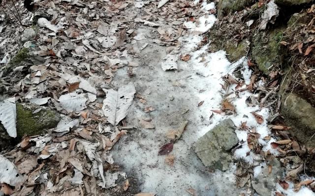 落ち葉の下に隠された凍結があります。綾広の滝周辺