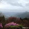 春の花咲く御岳山に、今朝は恵みの雨が降りました。
