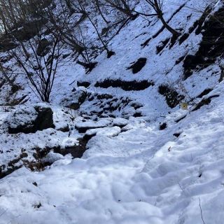 ロックガーデン　今朝の積雪15cm