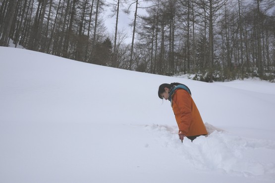 柳沢峠-三窪高原ハイキングコース入口付近　柔らかい雪です。