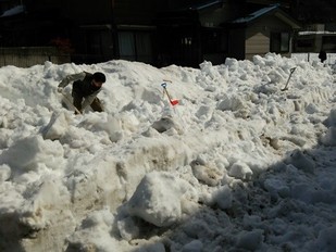 奥多摩ビジターセンター駐車場の状況　大量の積雪のため駐車不能です。