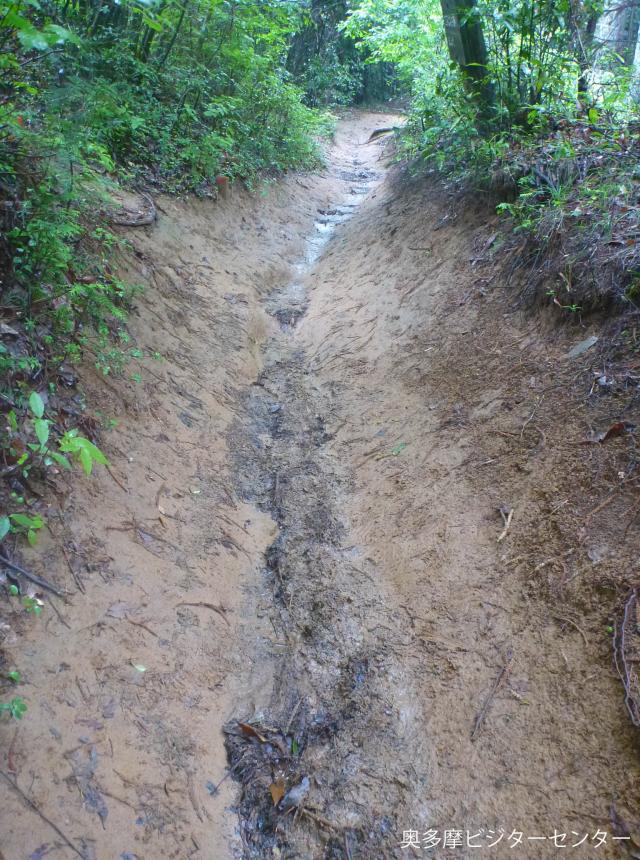 岩茸石山～惣岳山～御岳駅までの登山道は濡れた岩場やぬかるみで滑りやすくなっているので注意