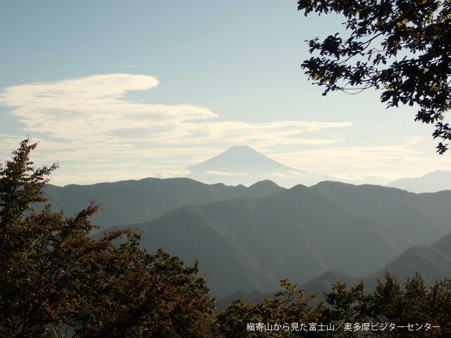 槇寄山からの富士山　風情がありました。