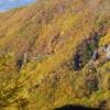 高峯渓谷　山の上ではカラマツの紅葉 