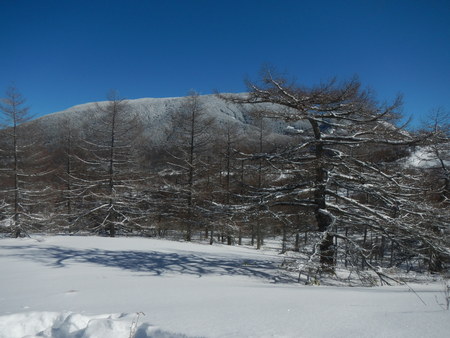 浅間山　抜けるような青空と雪のコントラストがとてもきれいです。 