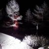 夜の休憩所ではライトアップされた光が木々に積もった雪がきれいに浮かびあがります。 