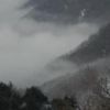 高峰温泉から下界に広がる雲海が、高峯渓谷の中に入り込むと、霧が陰影を作り水墨画のような幻想的な景色に変わりました。