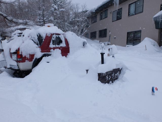 昨日からの新雪50cm。全体で190cmと積雪が多くスノーシューが必要です。