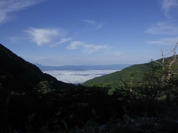 今朝は長野県側が一面の雲海の朝となりました