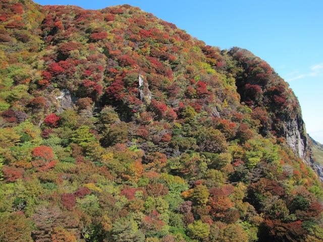 雲仙ロープウェイから妙見岳の紅葉です。シロドウダンの濃い赤が目立ちます。