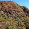 雲仙ロープウェイから妙見岳の紅葉です。シロドウダンの濃い赤が目立ちます。