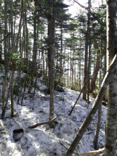 稜線付近の残雪