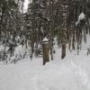 樹林帯積雪40cmくらい