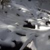 源流から下の積雪の状況