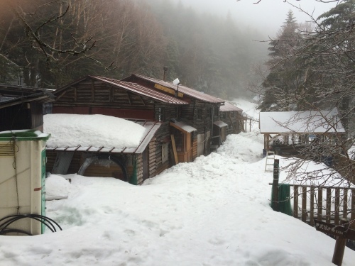 小屋の周りで30〜80cmの積雪。