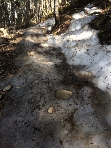 登山道は凍結がたくさんあります。