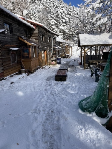 初冠雪　初氷　小屋周辺で12センチの積雪となりました。最低気温はマイナス1度。