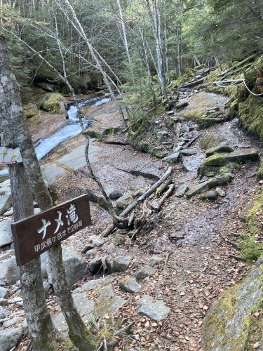 今日の毛木平からの登山道　ナメ滝あたり　水源直下辺りに、少し氷が張っていましたか、通行に支障ありませんでした。