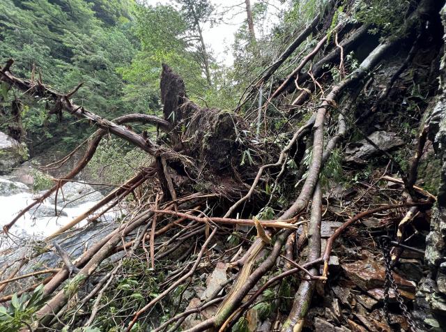 台風7号による登山道の被害状況