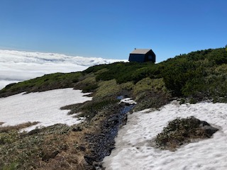 薬草ヶ原の雪渓と羊蹄山避難小屋
