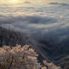 雲海と霧氷