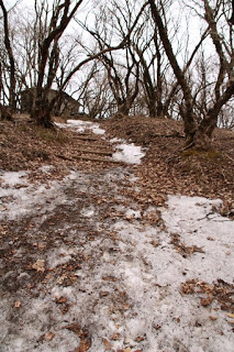 鍋割山山頂の北東側の登山道には、雪が残っていました。