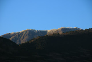 大倉から鍋割山稜を見たところ。16時40分頃です。日中ずっと曇っていたお陰でしょうか？夕方になっても霧氷がついている様子が確認出来ました。
