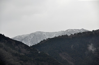 夕方は雪だったようです。鍋割山稜が白く見えました。