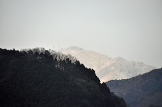 大山　夕方は雪だったようです。