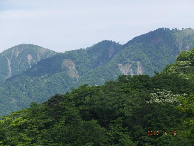 花立ピークからの丹沢最高峰・蛭ヶ岳方面