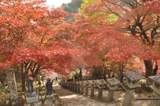 大山寺の紅葉の様子