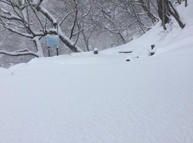 小屋周辺の積雪は10～30cmです