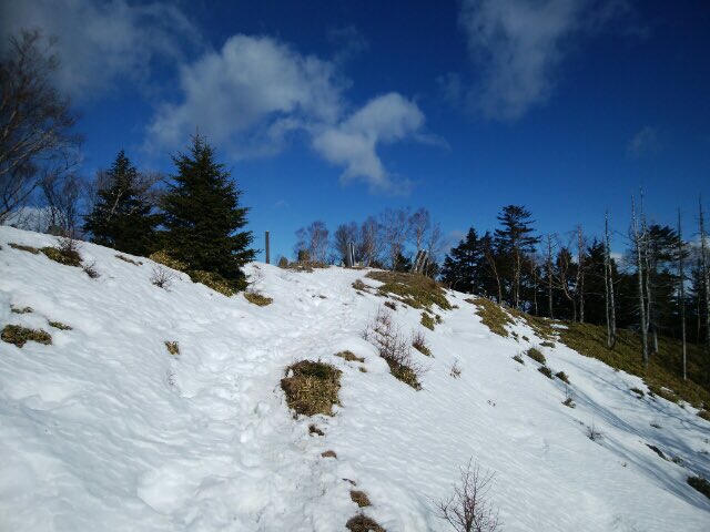 雲取山頂付近は、凍結した雪が残っています