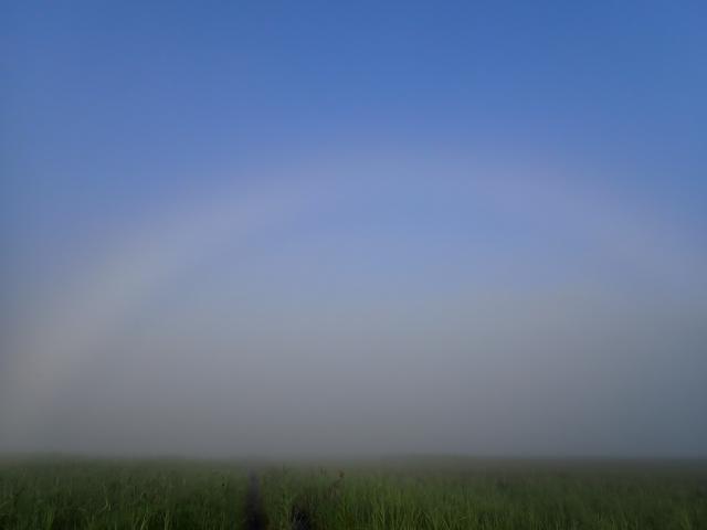尾瀬ヶ原に出現した白い虹