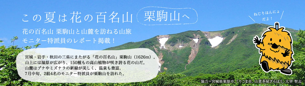 この夏は花の百名山栗駒山へ レポート掲載！
