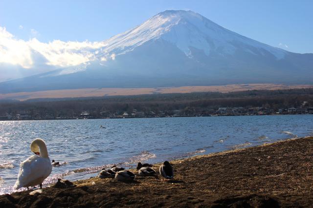 富士山と野鳥 いい風景です 大きく美しい富士山を見に 石割山 平尾山 大平山 Yamakei Online 山と溪谷社