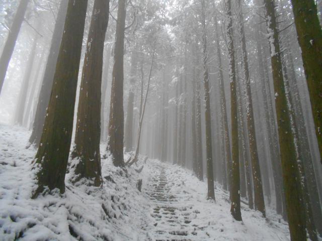 雪の比叡山から坂本へ 瓜生山 比叡山 18年1月6日 土 ヤマケイオンライン 山と溪谷社