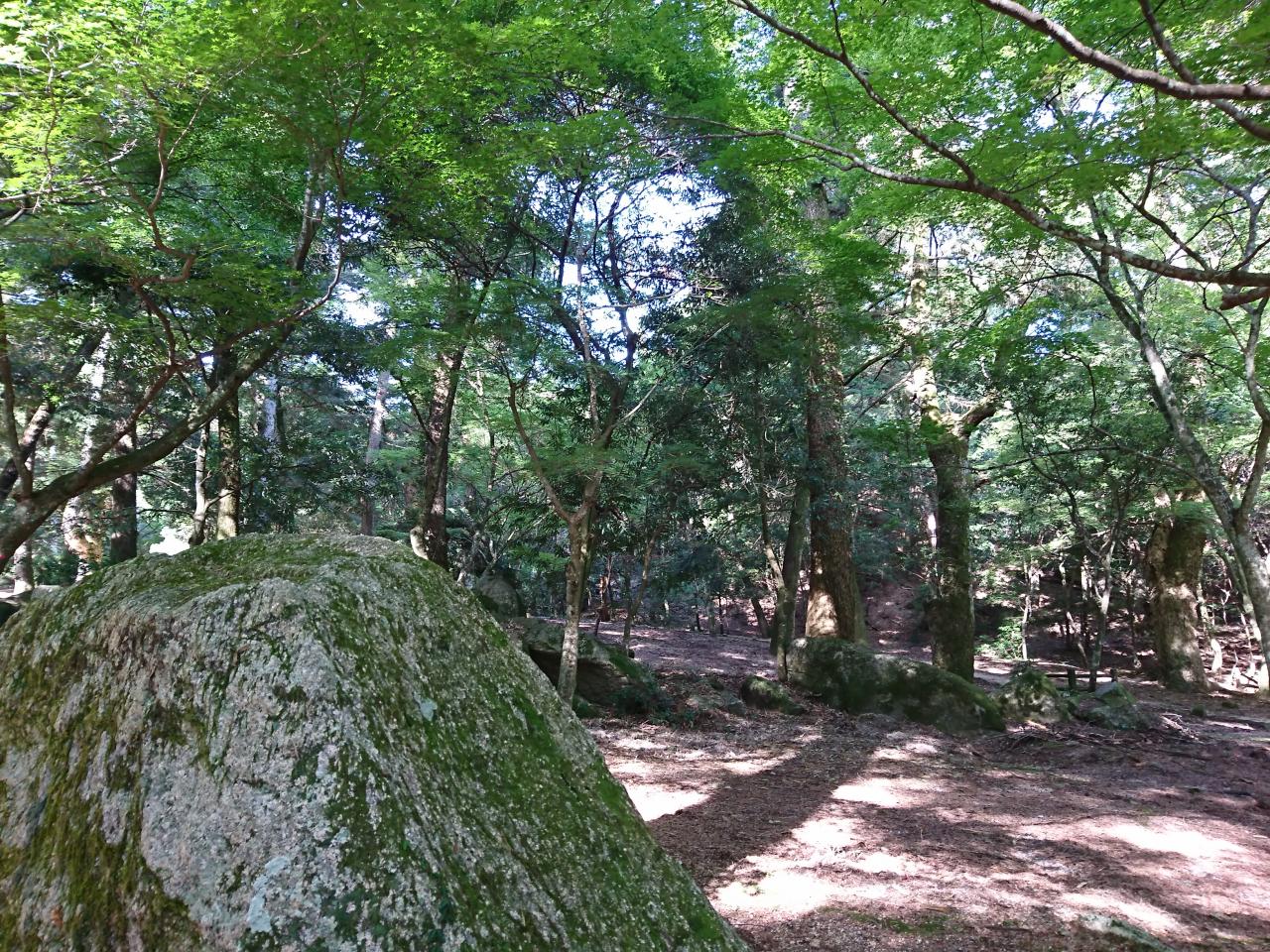 大元公園 原始林と巨石の弥山 大元コースで登り大聖院コースで下る 日帰り Yamakei Online 山と溪谷社