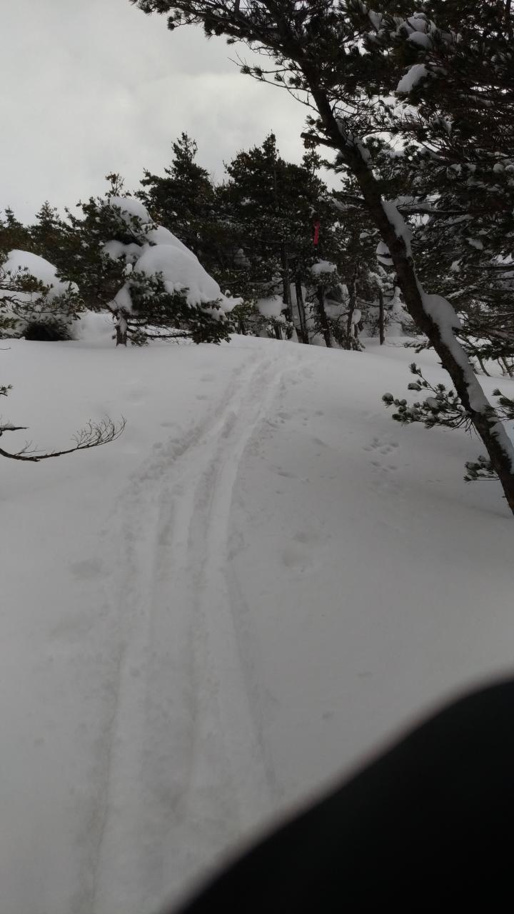 ツリーホールに気をつけながら樹間を進む 後ろから抜かれたスキーヤーの後に続く 安達太良山 くろがね温泉泊 ホワイトアウトの雪中縦走19 Yamakei Online 山と溪谷社