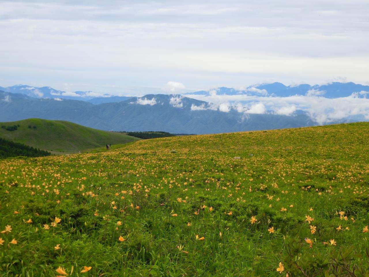 関東近郊で楽しむ高原ハイキング 今 おすすめの山 Yamakei Online