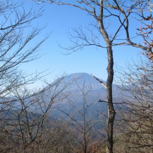鳴虫山 なきむしやま 標高1 104ｍ 関東 日光山系 Yamakei Online 山と溪谷社
