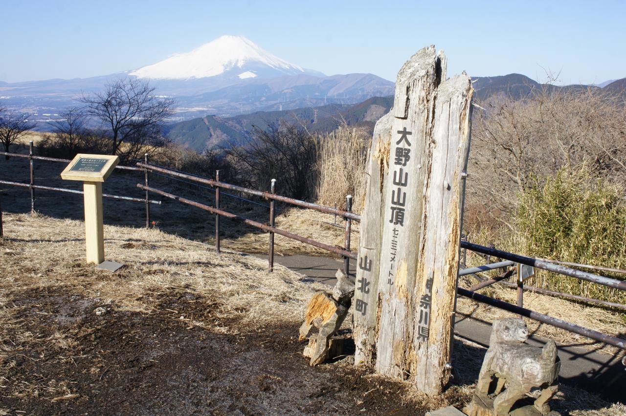大野山から富士山を眺める 大野山 21年2月4日 木 ヤマケイオンライン 山と溪谷社