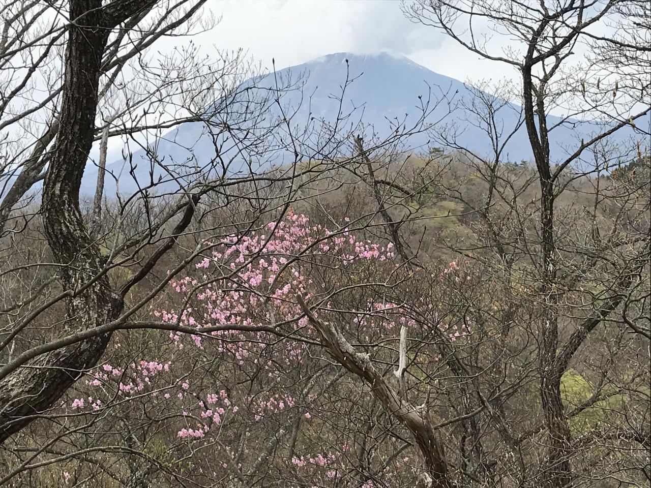 21春アカヤシオを求め鳴虫山へ 鳴虫山 21年4月25日 日 ヤマケイオンライン 山と溪谷社