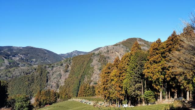 大鈴山かと思いましたが違いました 大鈴山から朝比奈川源流に Yamakei Online 山と溪谷社